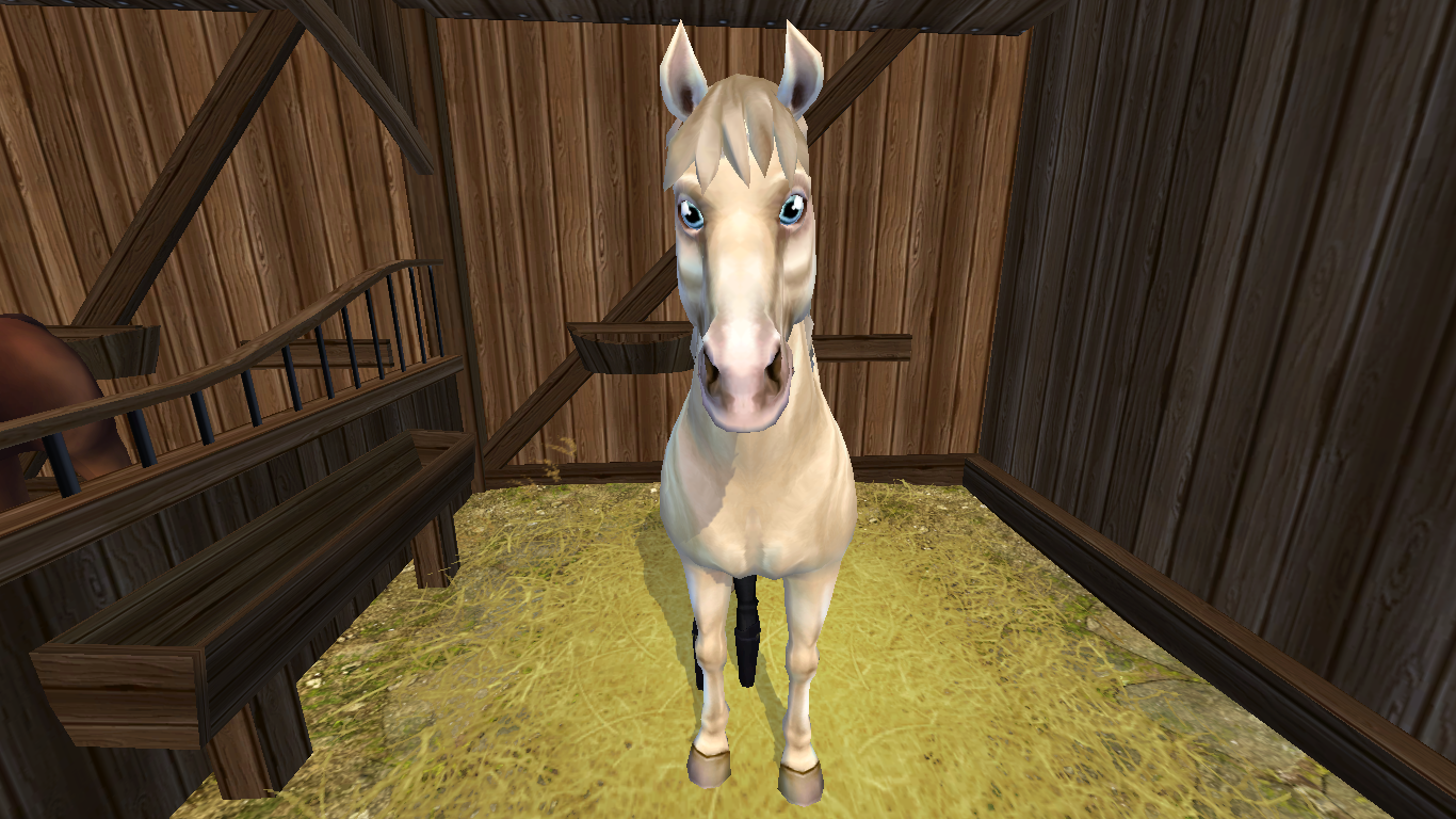 ★ Buckskin ★ Cena: 990 SC ★Trh