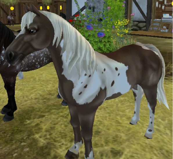 ★Silver Dapple Tobiano★890 SC★Marley's Farm