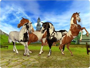 ★Black Overo (Old Model)★Black Tobiano★Chestnut Overo★Chestnut Tobiano (Old Model)★680 SC★TRH