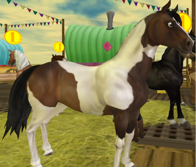 ★Bay Tobiano★680SC★TRH