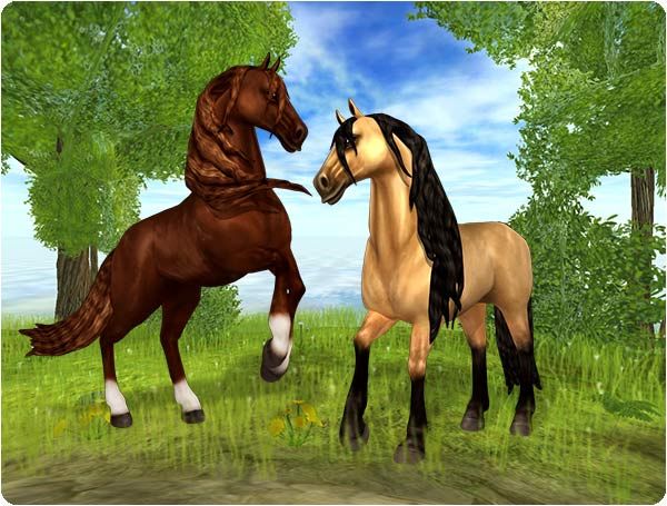★Buckskin★Chestnut★790, 890 SC★Ferdinand's Horse Market