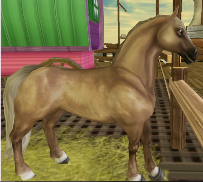 ★Palomino★589 SC★Ferdinand's Horse Market