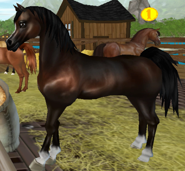 ★Brown★710SC★TRH