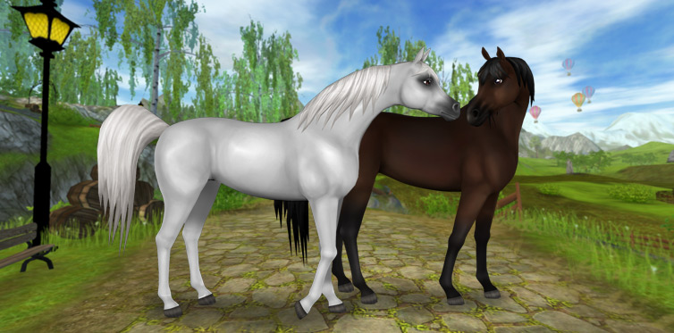 ★Light Grey★Dark Bay★969 SC★Silverglade Equestrian Center ,Firgrove