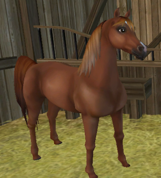 ★ Chestnut★ 969 SC★ Goldspur's Mill