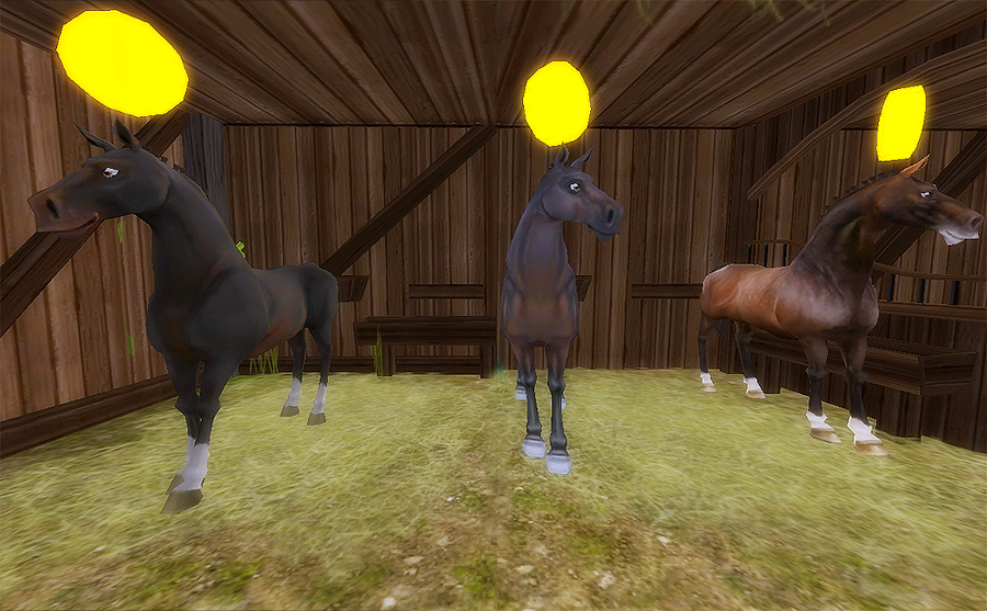 ★Black Liver Chestnut★Dappled Brown★ Seal Brown ★520 SC,300 SC,390 SC★TRH